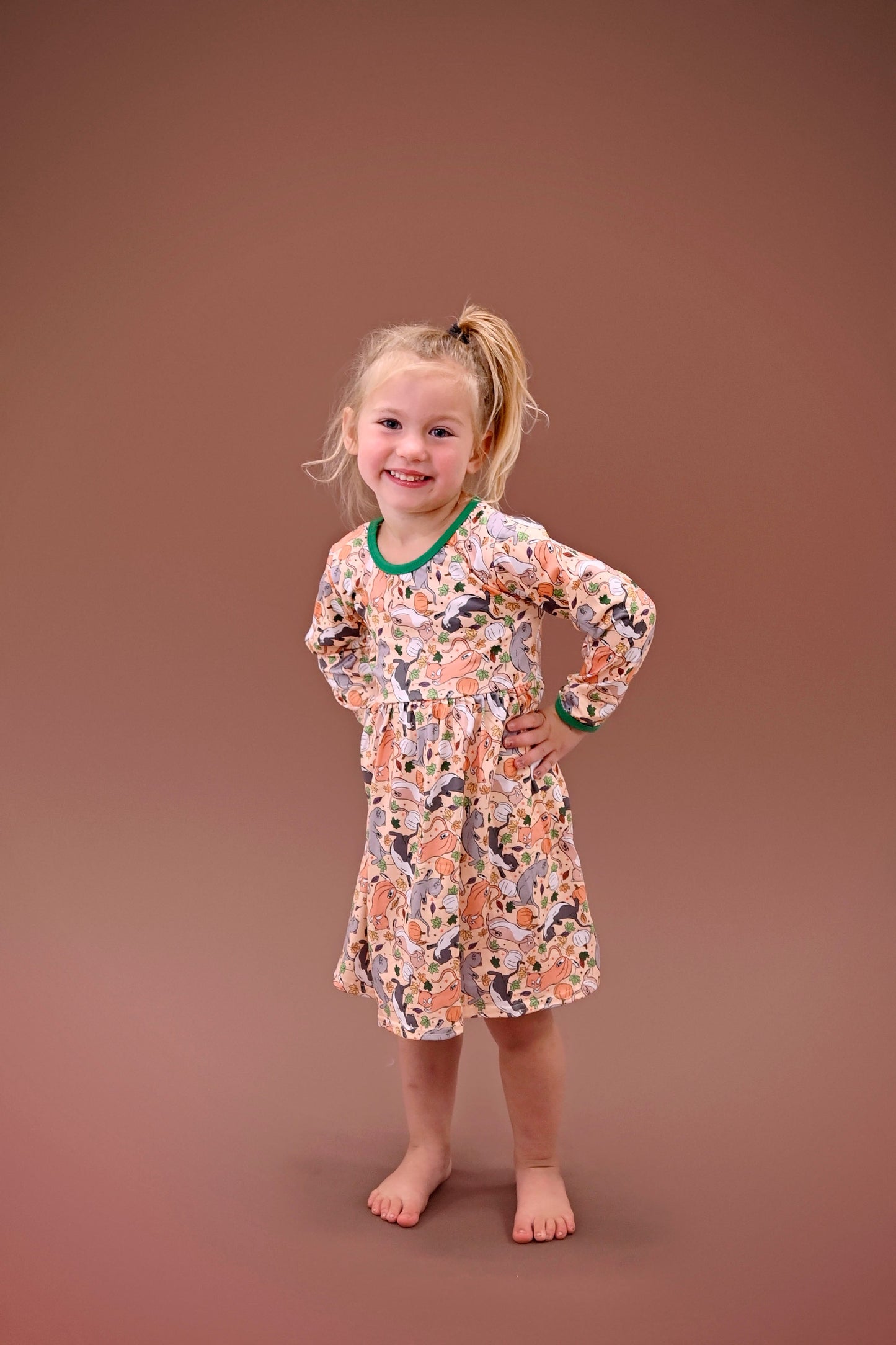 Kitties And Pumpkins Long Sleeve Milk Silk Dress