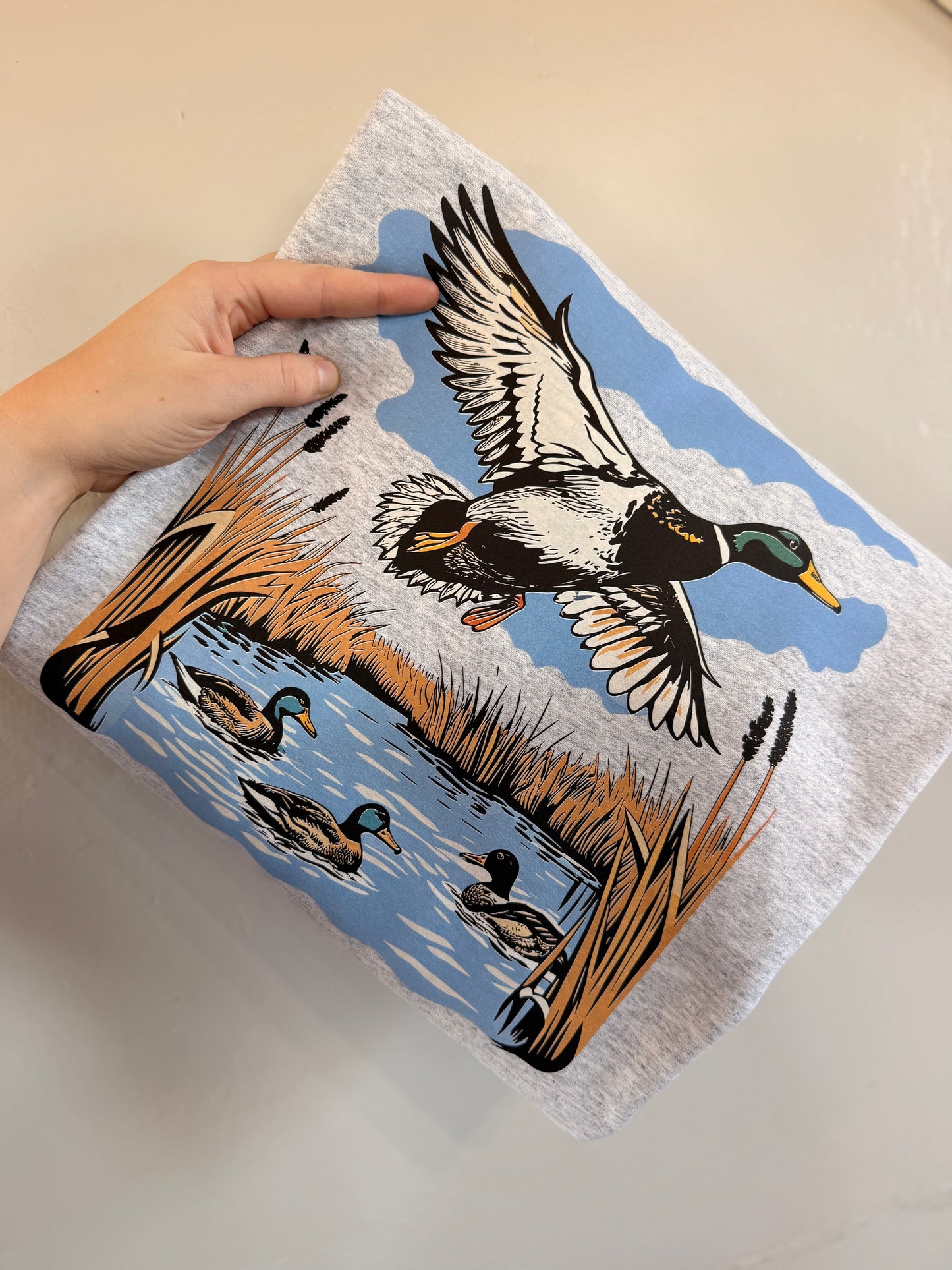 Duck Flying & Pond