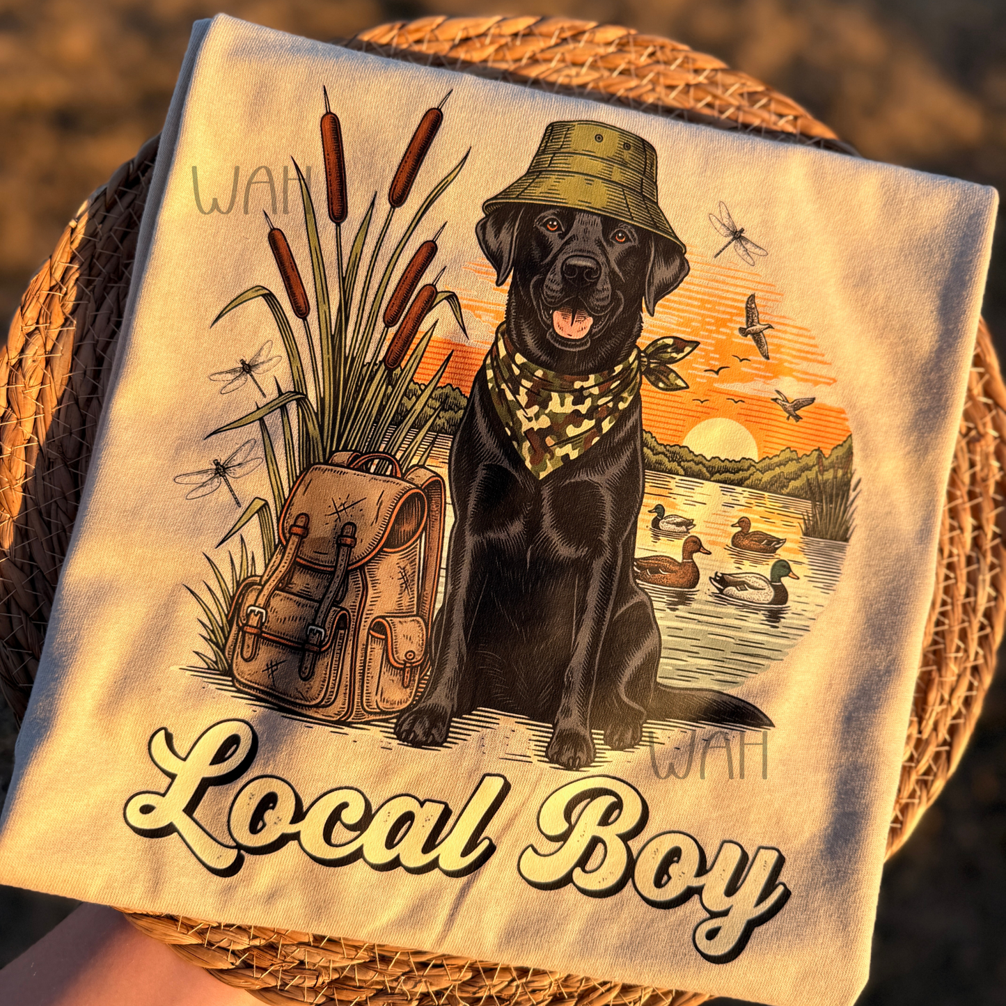 Black Lab Local Boy