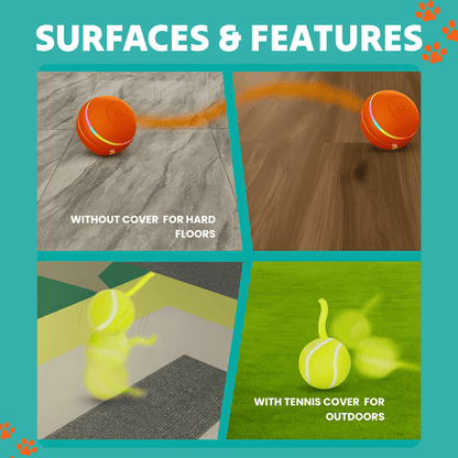DOG’S INTERACTIVE BALL