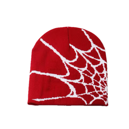 Spider Webbed Beanie