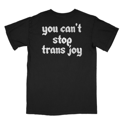 You Can't Stop Trans Joy