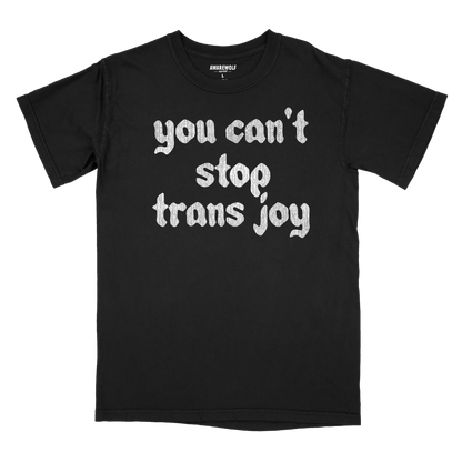 You Can't Stop Trans Joy
