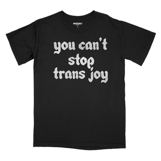 You Can't Stop Trans Joy